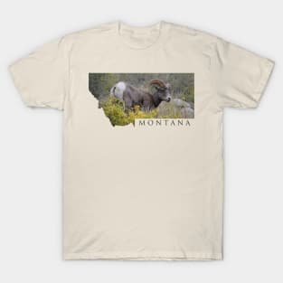 Montana Bighorns T-Shirt